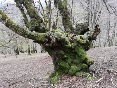L'Oudérou, IMG_20190427_164642
