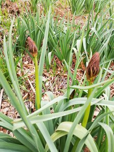 L'Oudérou, IMG_20190427_165452
