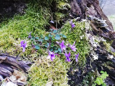 L'Oudérou, IMG_20190427_201816