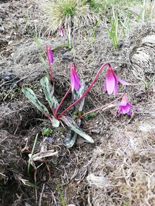 L'Oudérou, IMG_20190428_113732