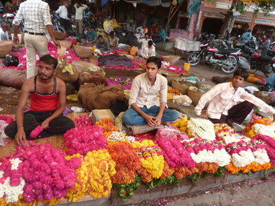 Indian beauty, P1040219