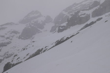 2019-04-21-26-ski-meije-grande-ruine, ski-tour-meije-grande-ruine-breche-meije-2019-04-23-58