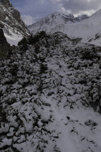 2019-04-21-26-ski-meije-grande-ruine, ski-tour-meije-grande-ruine-col-clos-cavales-2019-04-25-17