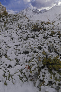 2019-04-21-26-ski-meije-grande-ruine, ski-tour-meije-grande-ruine-col-clos-cavales-2019-04-25-18