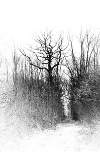 Exportation web, 2013-03-10_k5_17-34-57_N&B_web1024