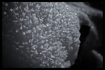 Exportation web, Givre - 2010