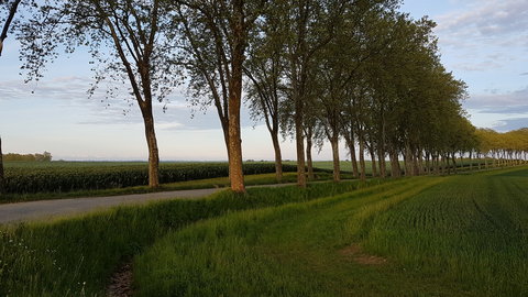 Le Tarn, 20190507_VersBelcastel_2