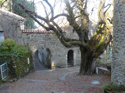 Le Tarn, 201810-Hautpoul-22