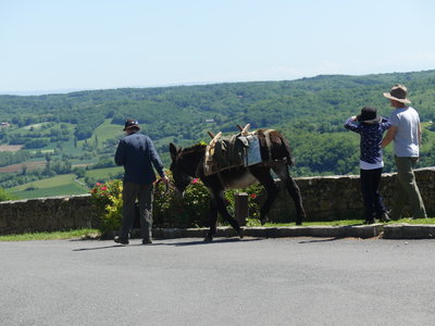 Le Tarn, 201805-Puycelsi-7