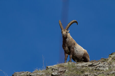 Tourond , IMG_5009
