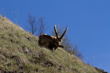 Tourond , IMG_5050