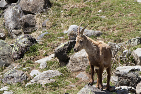 Tourond , IMG_5126
