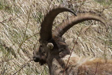 Tourond , IMG_5245