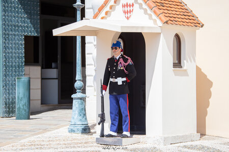 relève Garde 20 mai 2019 (changement de couleur), relève 20mai19  71 sur 257 