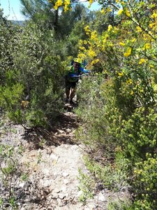 Le Lavandou-2019, Le Lavandou  16 