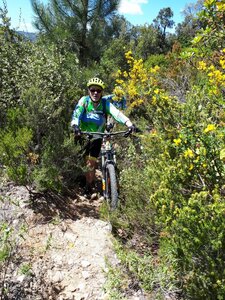 Le Lavandou-2019, Le Lavandou  18 