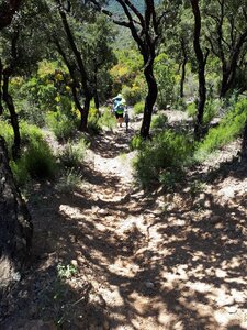 Le Lavandou-2019, Le Lavandou  19 