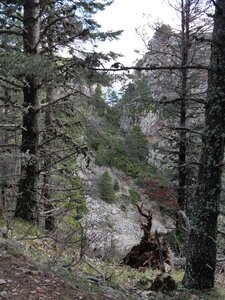Vercors mai 2019, P1011322