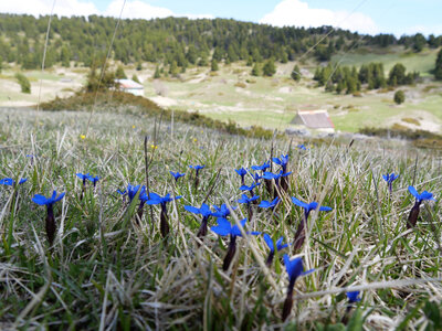 Vercors mai 2019, P1011324