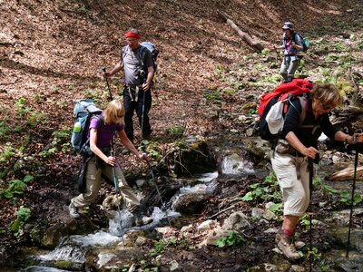 Vercors mai 2019, P1011411