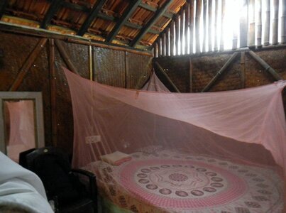 Gokarna , 396040_10151373252343626_299855460_n