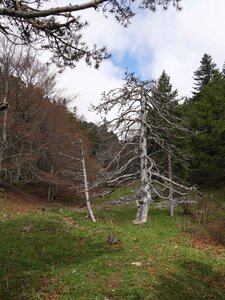 Vercors mai 2019, P1011345