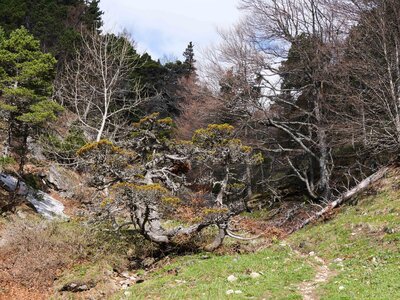 Vercors mai 2019, P1011346