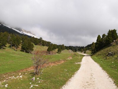 Vercors mai 2019, P1011347