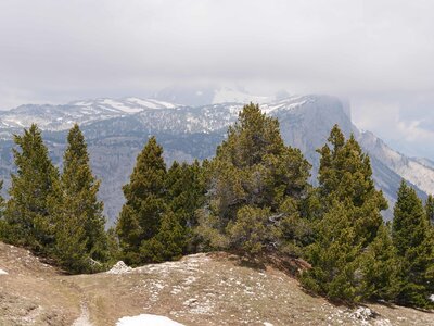 Vercors mai 2019, P1011377