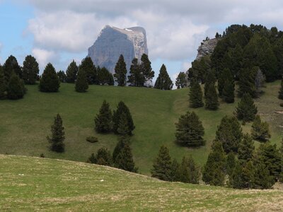 Vercors mai 2019, P1011381