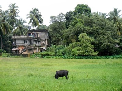 Gokarna , 551745_10151373261393626_1724264639_n