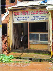 Gokarna , IMG_2066