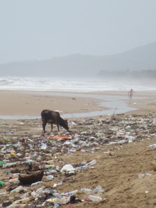 Gokarna , IMG_2083