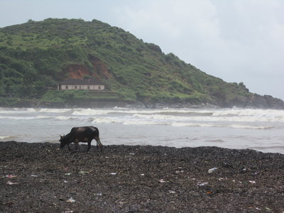 Gokarna , IMG_2094