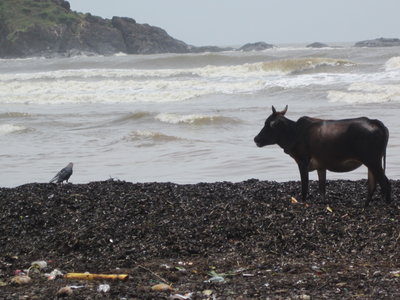 Gokarna , IMG_2096