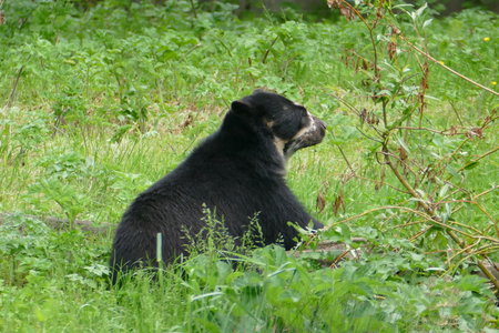 zoo thoiry , P2090373