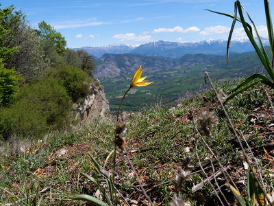 Gigors le 29/0/5/2019, P1011465