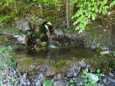 Gigors le 29/0/5/2019, P1011474