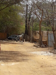 casamance 2019, 20190419_125057