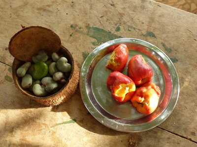casamance 2019, QIDS1-P1510047