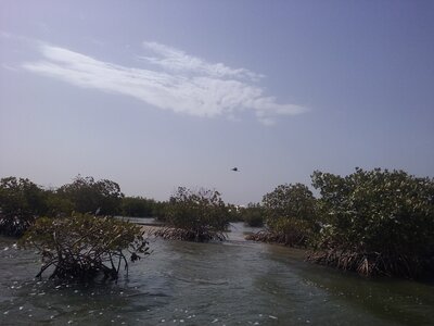 casamance 2019, 20190408_101034