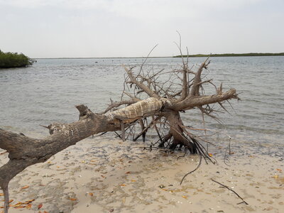 casamance 2019, 20190408_143941