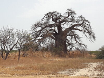 casamance 2019, 20190408_144320