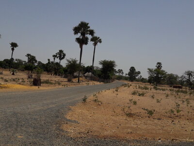 casamance 2019, b