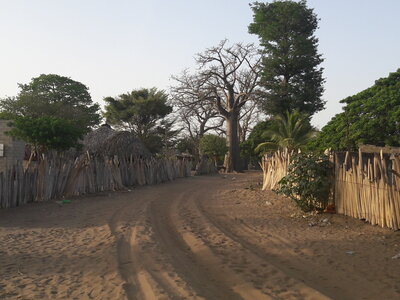 casamance 2019, p