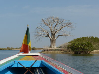 casamance 2019, P1510404