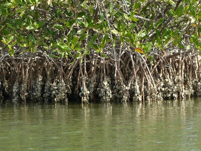 casamance 2019, P1510405