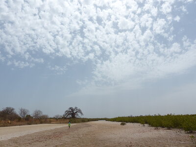 casamance 2019, P1510498