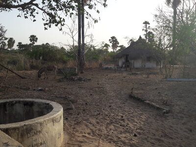 casamance 2019, q