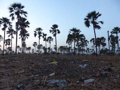 casamance 2019, QIDS6-P1510325